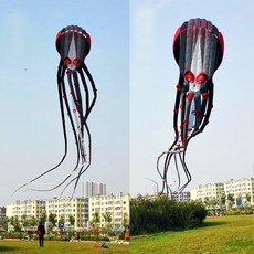 패러글라이딩서핑