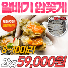 서해안냉동꽃게