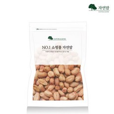 자연맘 국산 생 땅콩 500g, 1개