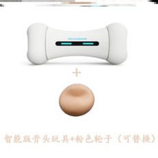 반려동물펫푸드스타일리스트