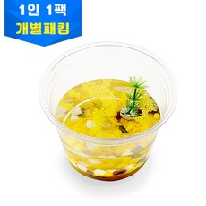 바다새우키우기