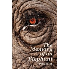 elephant메모리
