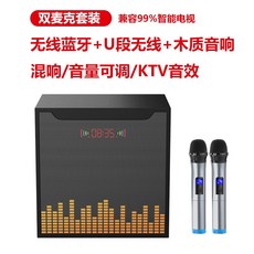 가정용 코노 마이크 코인 동전 노래방 기계, new 업그레이드 [블랙호스트/듀얼마이크]