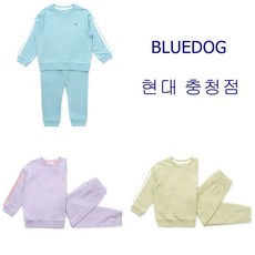 블루독상하세트