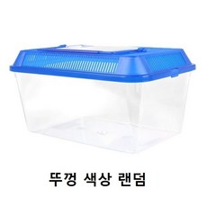 와이피 곤충 채집통 2XL, 단일 랜덤, 2개