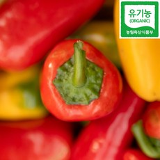 국내산 친환경 유기농 미니 파프리카, 1박스, 2kg