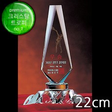 a46687fb96560fdaa6b174fa92a6926c3074ab1289cc84cc22a01da9d51c.jpg