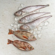 서피랑피쉬마켓