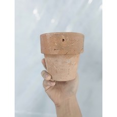 행잉토분 TOP01