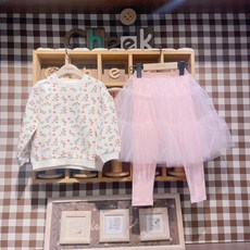 치크발레복