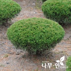 국산향나무위패각인