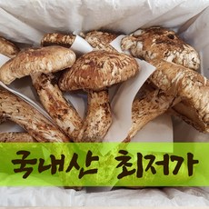 참조은식품 자연산 송이버섯 2024년 한정특가! 청도 국내산 수입산 백두산 송이버섯 선물용 가정용 1kg 500g