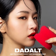 다달트 차량용 퍼펙트 왁스 스템프 어플리케이터 독일산 필터폼 왁싱 폴리싱 스펀지 패드, 1개