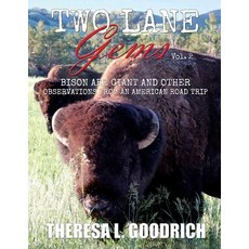 (영문도서) Two Lane Gems Vol. 2: Bison are Giant and Other Observations from an American... Paperback, Local Tourist, English, 9780960049509