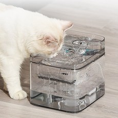 반려동물 엔펫 저소음 정수기 3L, 투명