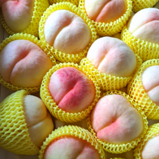 딱딱이복숭아-추천-상품