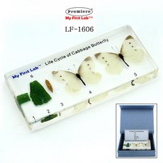 0dc3c22acdb3bfe8354d2991dc5f97bf0b6e9a29ebcd00ec16056f9a38a1.jpg