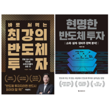 최강의 반도체 투자 + 현명한 반도체 투자 (전 2권)