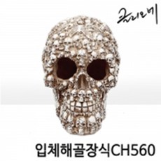 웰컴펫 클리오네 입체해골장식CH560