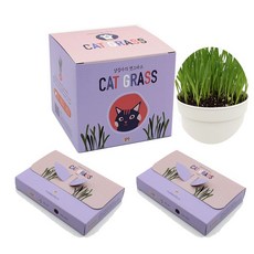 영수네캣그라스