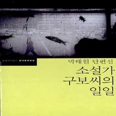 소설가구보씨의일일