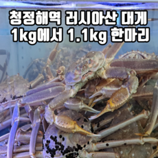 11ace0eb56ecefce091c5cf898739ad03fdc6c6ea80ed58186b1901f46f6.png