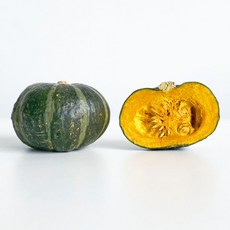 홍천미니단호박