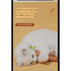 고양이 강아지 당근 모양 장난감, 1개
