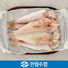 제주 한림수협 제주 옥돔 9미 실속 세트 1.17kg(130g*9팩) / 옥돔 1.17kg(130g*9팩), 1개, 1.17kg