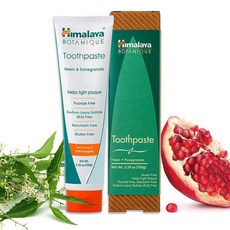 Himalaya Botanique Pomegranate Toothpaste 히말라야 보태닉 석류 치약 150g