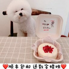 강아지도시락케이크