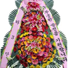 (당일배송) 개업화분 배달 전국 꽃배달 서비스 결혼 환갑 축하화환 근조화환 동양란 서양란 화분배달, 1개, [당일배송]축하화환_03)특품 3단화환