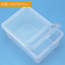 장수풍뎅이키우기 사슴벌레 렉사육장 육지거북이 소라게 팩맨개구리A13, 단일사이즈, 대형, 1개