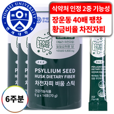 연세생활건강 RKR 진짜 맛있는 식이섬유 6800mg 차전자피 비움 스틱