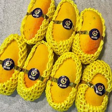 무지개망고-추천-상품