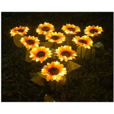 태양광해바라기