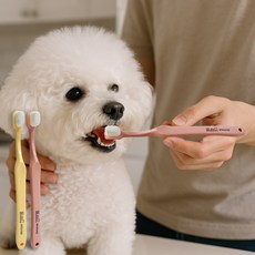 아인솝 바른칫솔 초미세모 강아지&고양이 치석관리, 옐로우, 1개
