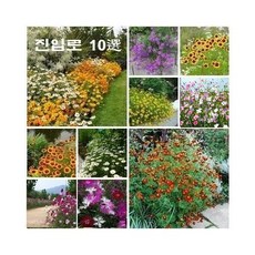 비스카마블칼세트