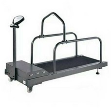 수중트레드밀 반려견 워킹패드 회복 훈련 산책 운동