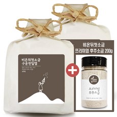 비온뒤첫소금 천일염 400g + 함초소금 200g, 구운 천일염, 2개