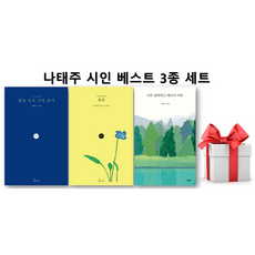 (사은품) 꽃을 보듯 너를 본다 + 풀꽃 + 너무 잘하려고 애쓰지 마라 세트, 나태주 나태주