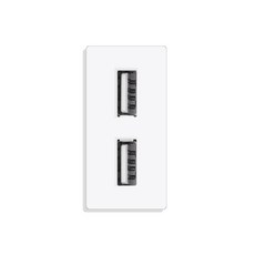 TAWOIA DIY TV 위성 USB PC RJ45 잭 CAT6 TEL VGA 이어폰 2 핀 소켓 버튼 스위치, 01 Dual USB 5V2.4A_04 Black