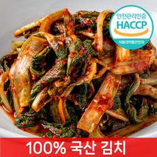 [전라도찐맛] 당일제조 얼갈이겉절이, 1개, 5kg