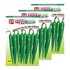 미인풋고추모종