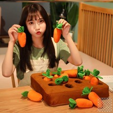 당근뽑기장난감