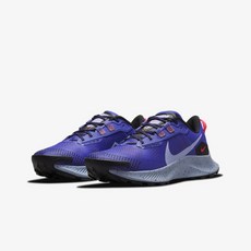 나이키페가수스트레일3