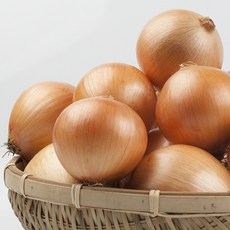 국산 25년 햇양파, 1박스, 1.5KG(중)