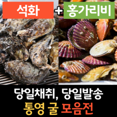 석화 굴 인기 순위