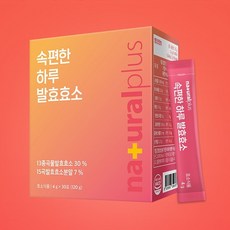 음식물분해효소