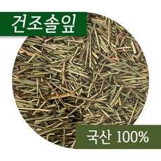 송솔나무